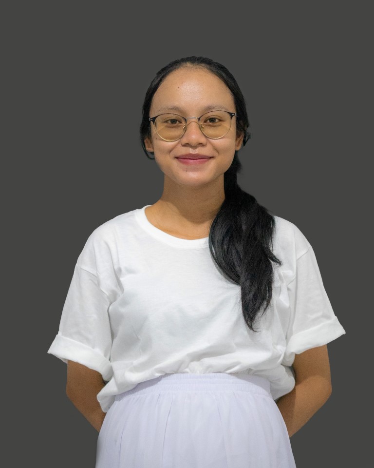 Sari image